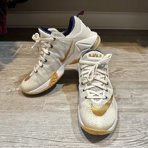 Nike LeBron 12 Low ‘USA’ Size 9
